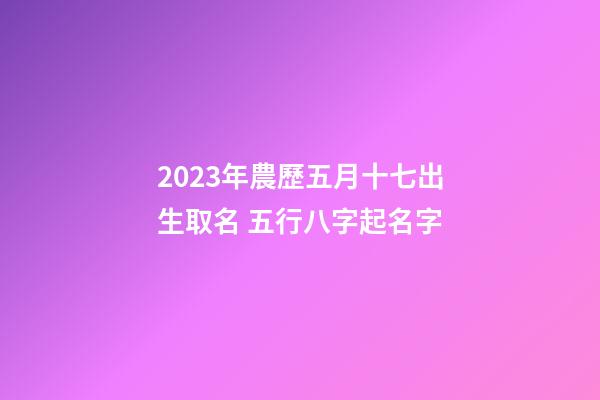 2023年農歷五月十七出生取名 五行八字起名字